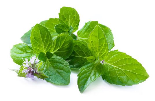 Mint leaves in Nicode spray bottle