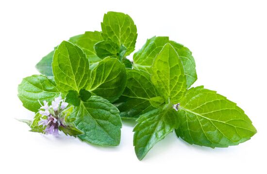 Mint leaves in ZXCVNMQWERT spray