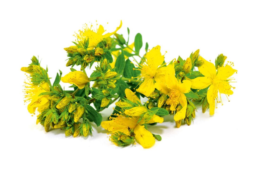 St.John's Wort in Nicode spray